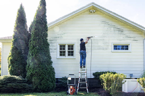 Best Patio and Deck Pressure Washing  in Shepherd, TX